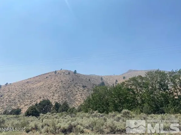 0 Highway 395, Coleville, CA 96107