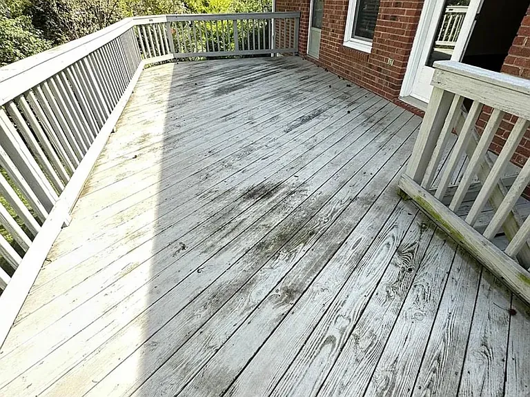 3808 Selwyn Ave — Photo 9