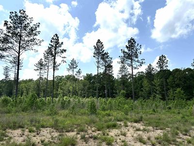 24 Grant County Rd #763, Sheridan, AR, 72150
