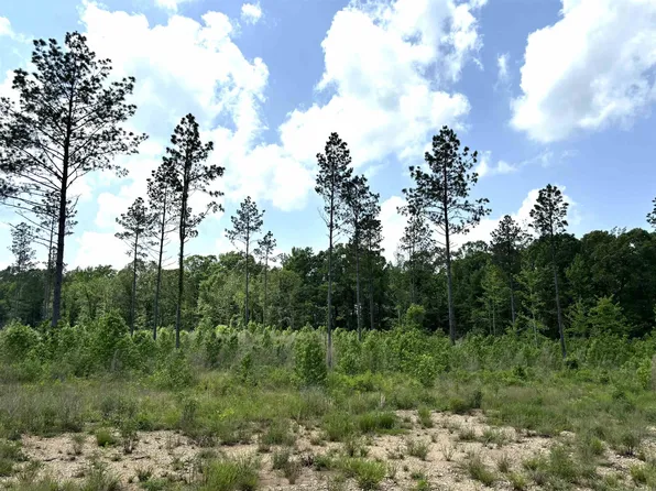 24 Grant County Rd #763, Sheridan, AR 72150
