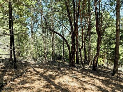 18910 Circle View Dr, Pioneer, CA, 95666