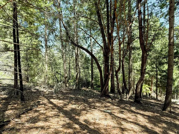18910 Circle View Dr, Pioneer, CA 95666