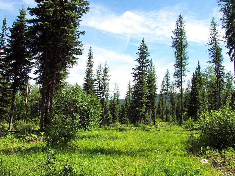 Nhn Trail Creek Rd, Polebridge, MT 59928 Zillow