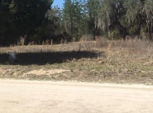 21897 NE 135th Ln, Salt Springs, FL 32134