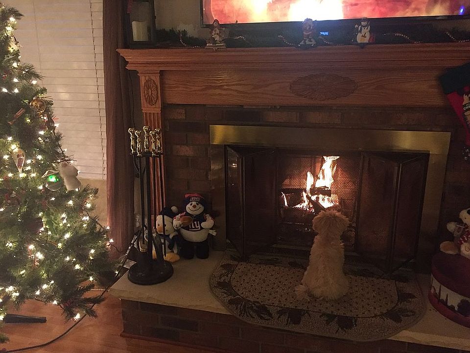 Family Room Fireplace