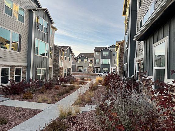 Mature landscaping walkway