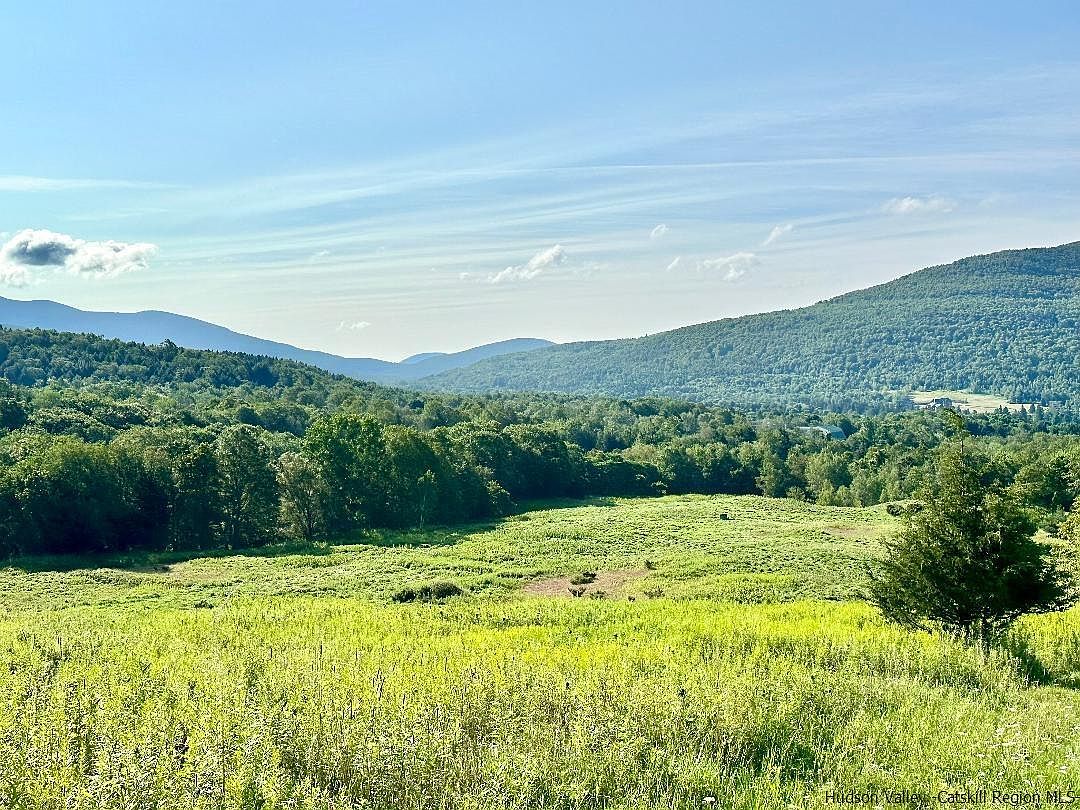 Vining Rd, Windham, NY 12496 MLS 20232424 Zillow