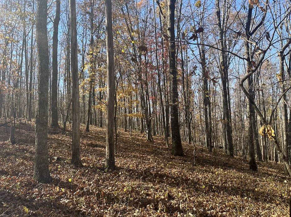 2nd image of Lewis Rd