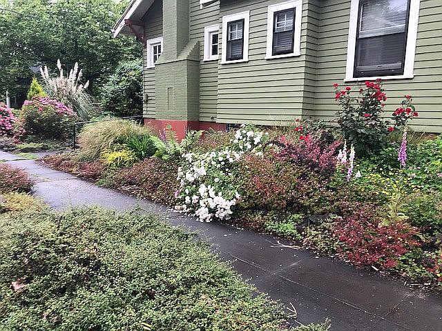 sideyard