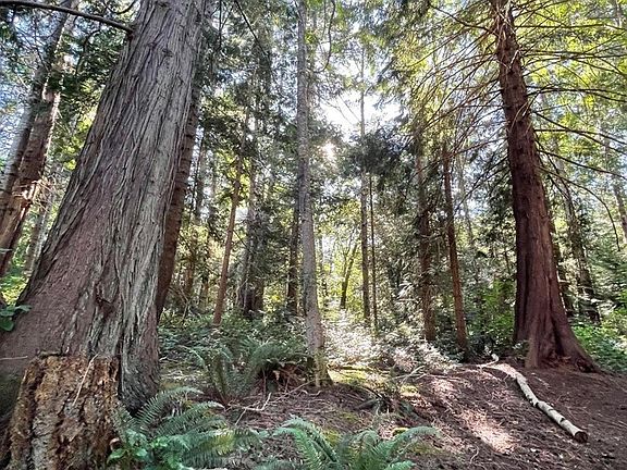 5th image of 6375 Saint Johns Point Rd