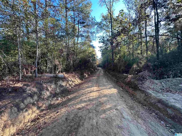 1 County Road 176 #5487, Clanton, AL 35046