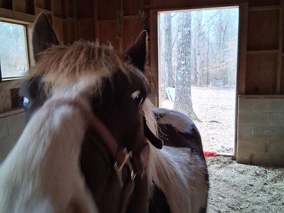 5th image of 435 Meadow Creek Rd