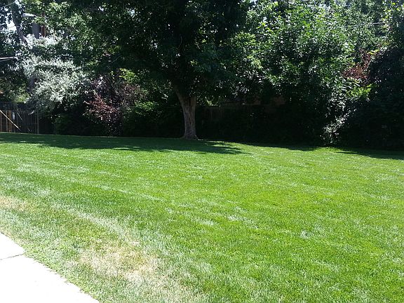 Yard area directly in front