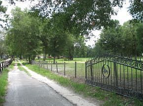 Iron security gate