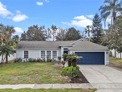 2597 Auld Scot Blvd, Ocoee, FL, 34761
