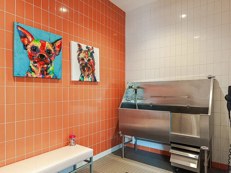 The Kane Apartment Homes — Photo 20