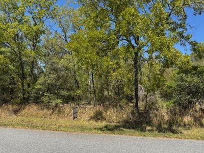 25 Elm Loop Lot 13, Ocala, FL, 34472