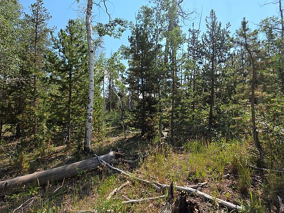 4th image of 5085 Alpine Rd