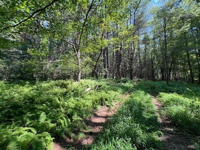 Lot 47.2 High Road, Glen Spey, NY, 12737