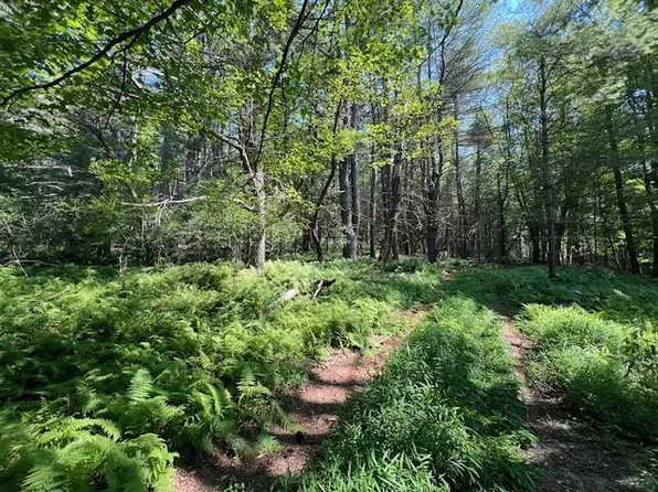 Lot 47.2 High Road, Glen Spey, NY 12737