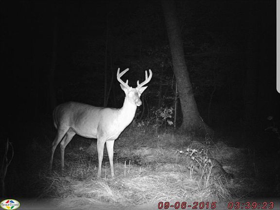 4th image of 2754 Nc Highway 561