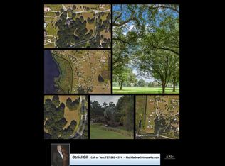 0 Broadland Pass LOT 102, Thonotosassa, FL 33592