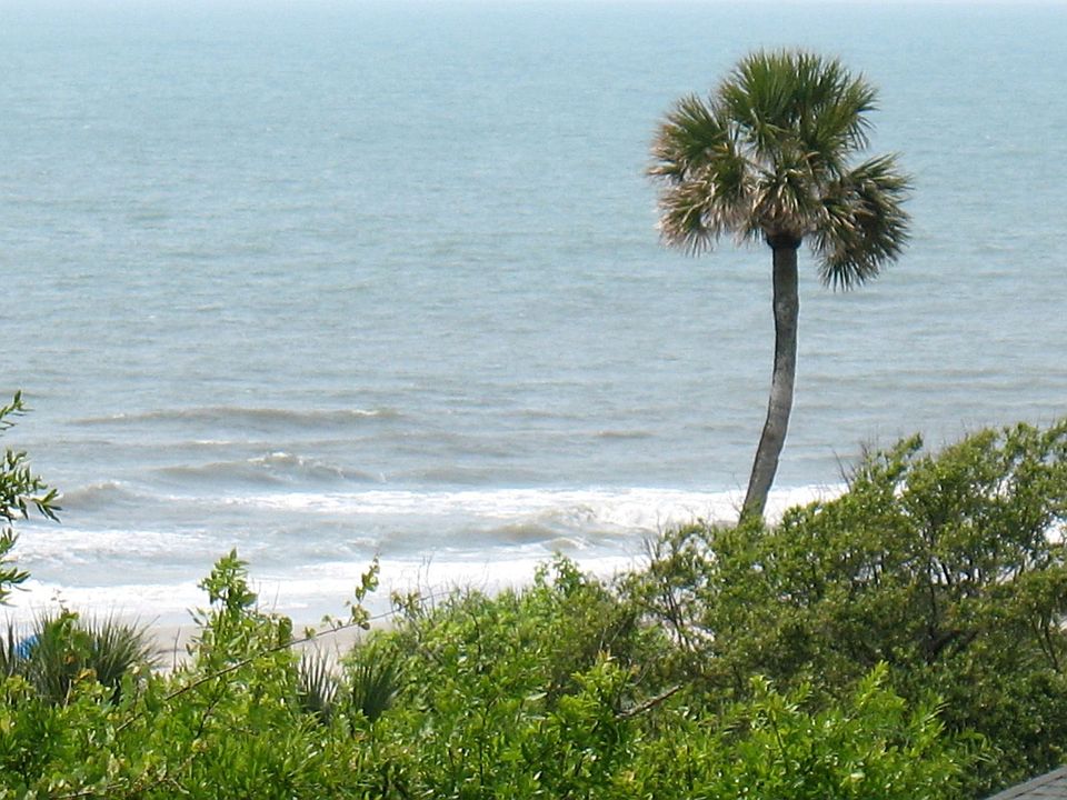 OCEAN VIEW FROM MASTER