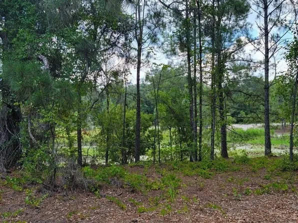 Malauka Loop Run Lot 13, Ocklawaha, FL 32179