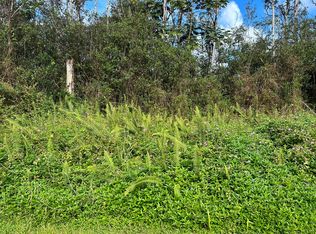 Mauna Kea Rd LOT 460, Pahoa, HI 96778