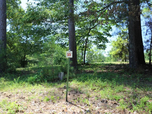 55 Pine View Dr, Benton, KY 42025
