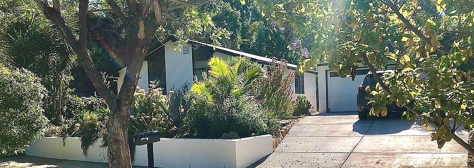 Peaceful Mid-Century Modern