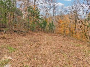0 Ensor Hollow Rd, Buffalo Valley, TN 38548