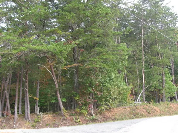 Township Road 2 Red Fox Farm Rd, Young Harris, GA 30582