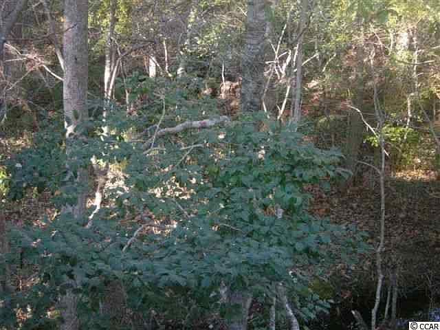 2nd image of 2226 Carriage Ln. Lot 11