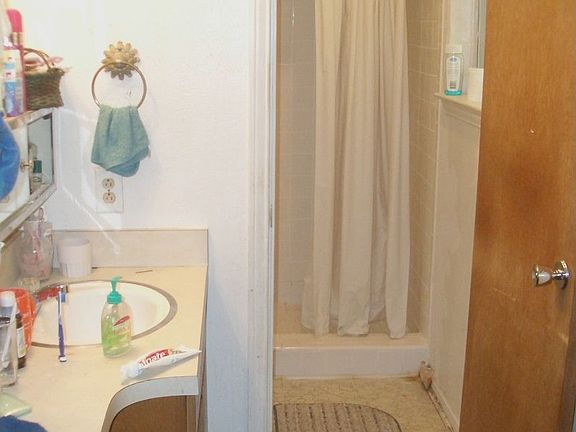 Master shower and Vanity