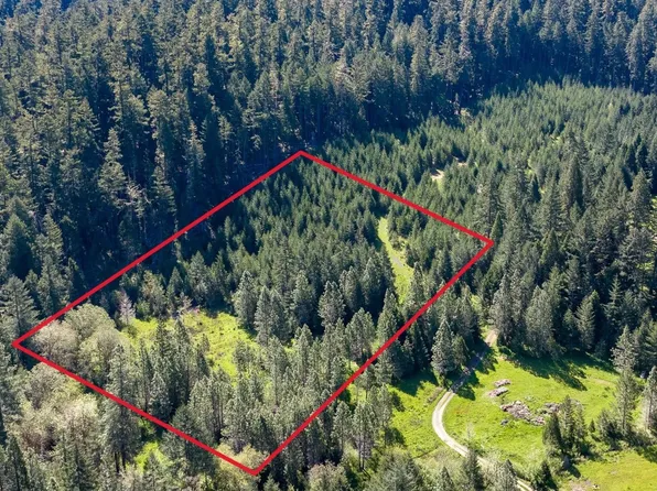 Berry Creek Rd, Winston, OR 97496