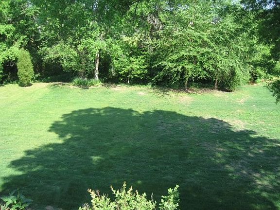 Big Backyard!