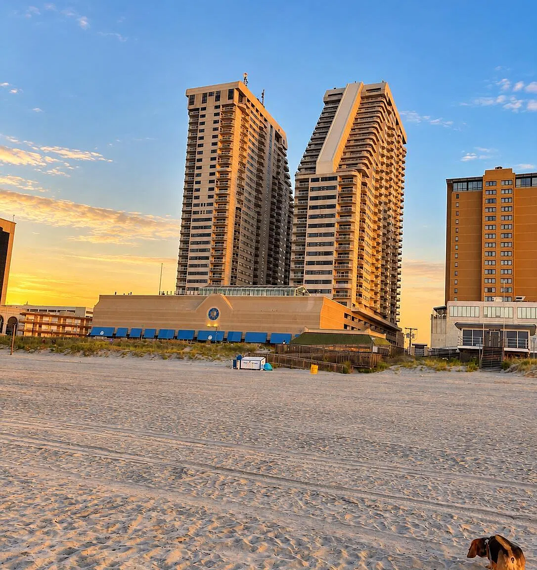 1 bed, 1.5 bath, 900 sqft, $2,150 — Photo 2