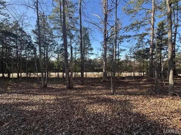 0 Highway M, Silva, MO 63964