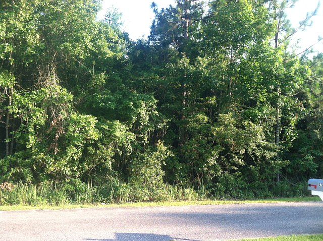 2nd image of Lot On Ginkle Rd #Lot 3