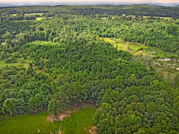 329 Flower Garden Rd, Grandview, TN 37337