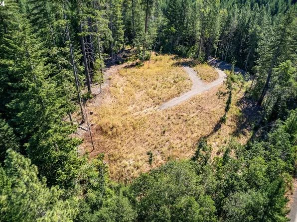 Trout Lake Hwy #1, Trout Lake, WA 98650