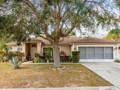 721 Willow Run St, Minneola, FL, 34715