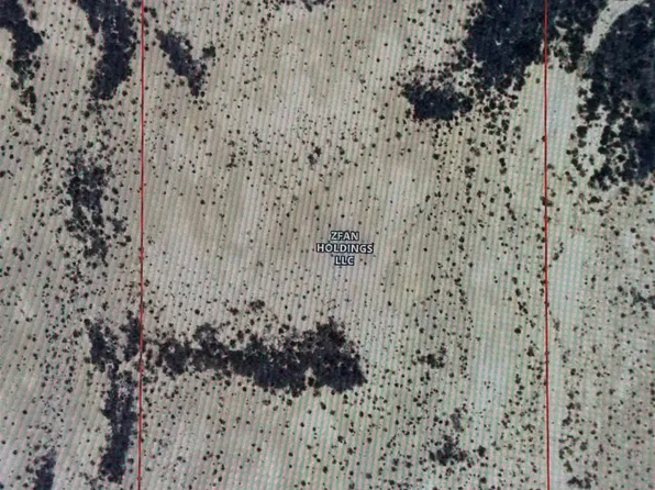 2800 Ruby Rd, Terlingua, TX 79852