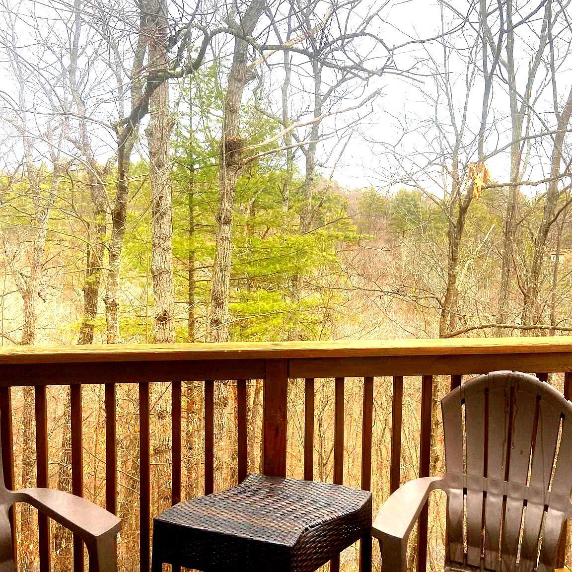 3 bed, 2.5 bath, 1200 sqft, $1,300 — Photo 4