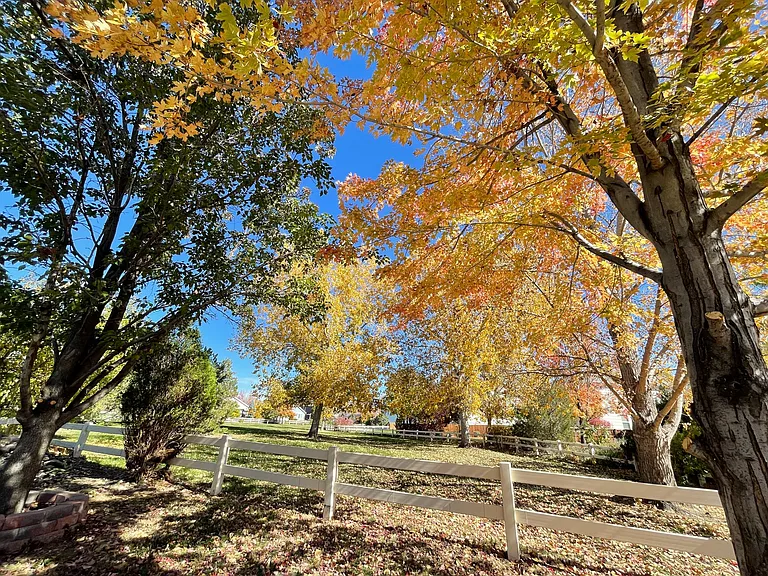 Views from the backyard and greenbelt area