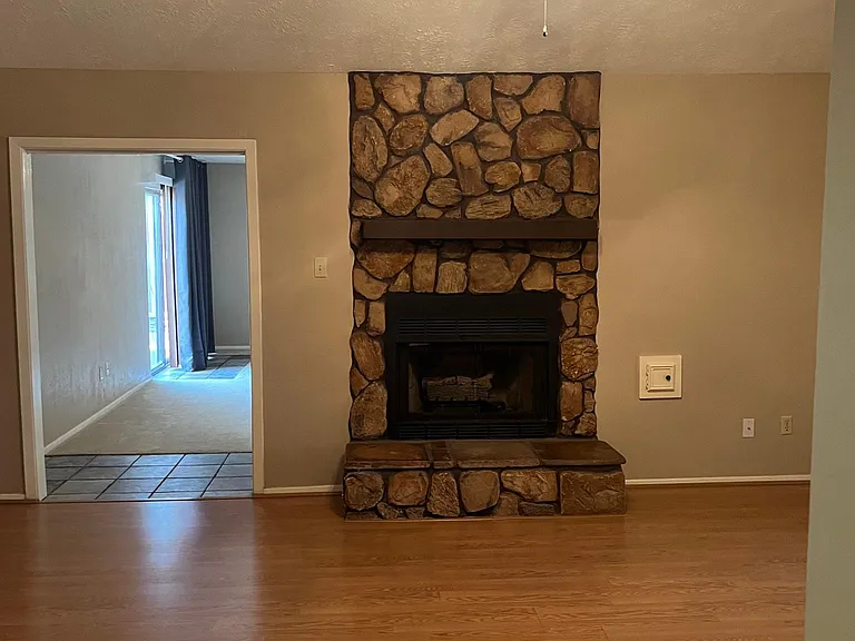 Living Room / Fireplace
