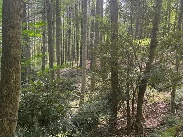 Lot 17 Sunny Lane, Crumpler, NC 28617