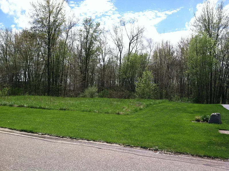 876 Chemung Forest Dr photo 1