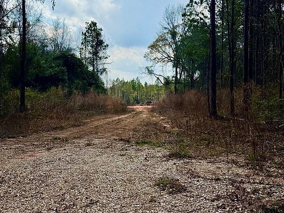 2nd image of 33 Nelson Rd